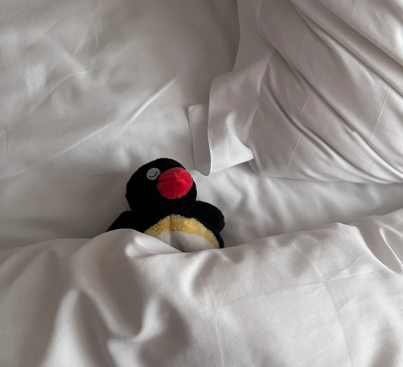 Pingu🐧